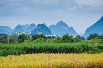 菲斯塔油耗为什么那么高